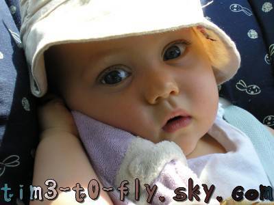 amine amine amine amine